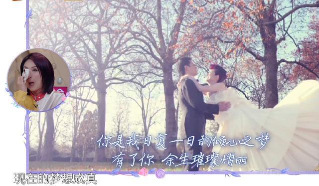 不考虑医疗条件下,养猫省心还是养狗更省心?-知识星球平台,专注知识分享